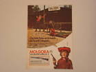 advertising Pubblicità 1972 FUCILE WINCHESTER MOLGORA