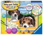 Ravensburger- MNZ Jack Russell Cuccioli Colore Giallo 283293