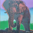 Andy warhol litografia certificata 60x60 elefante