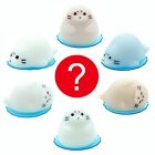 Japanese Blind Box Cute Kawaii Animal Mochi Seal Squishy 1 Random Toy