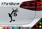 Coyote Mittelfinger Aufkleber 17x12cm Sticker Road Runner Kojote JDM Fun Kleber