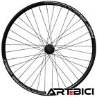 Ruota posteriore bici MTB 29 GRAVEL 28 disco 6 fori Cerchi Mozzo QR 8/9/10/11v