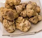 10 GR TARTUFO BIANCO PREGIATO FRESCO DI PRIMA SCELTA PROVENIENZA ITALIA