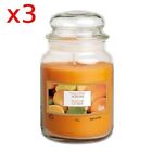 3pz Candele Profumate Zucchierera Agrumi 550gr  100 Ore Stile Yankee Candle