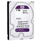 WESTERN DIGITAL PURPLE 1TB HARD DISK VIDEOSORVEGLIANZA DVR 3.5’’ SATA WD10PURZ