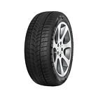 205/50 R17 93 V MINERVA - Frostrack UHP