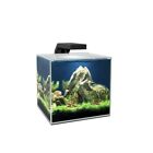 CIANO CUBE 5 LED ACQUARIO COMPLETO FILTRO E ILLUMINAZIONE 5 LITRI by ASKOLL