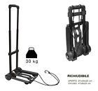 CARRELLO PORTA PACCHI E CASSE PORTAPACCHI PIEGHEVOLE CON 2 RUOTE PORTATA 30 KG