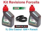 072 - Castrol Fork Oil 15W + Paraoli Forcella YAMAHA XT 660 X Superm. dal 2004>