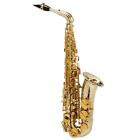 Selmer sax alto Supreme argento massiccio