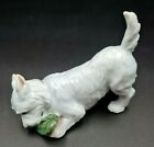 STATUINA ROYAL COPENHAGEN CANE DOG VINTAGE FIGURINA PORCELLANA CERAMICA RARA 900