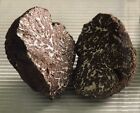 Tartufo NERO DI BAGNOLI (T. Mesentericum) Fresco Intero 150gr - Truffle-