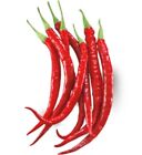 10 SEMI PEPERONCINO LUNGO CALABRESE SAPORITO E PICCANTE