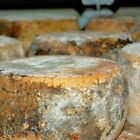 FORMAGGIO PECORINO STAGIONATO in FOSSA UMBRIA FORMAGGI ETRUSCHI TIPICI UMBRI