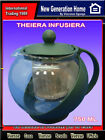 TEIERA INFUSIERA 750ML VETRO  CON FILTRO