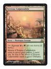 Magic: The Gathering - Terreno Calpestabile Light Played