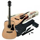 Kit chitarra acustica Ibanez V50NJPNT