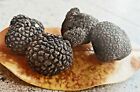 TARTUFO NERO UNCINATO FRESCO II Scelta UMBRIA TUBER UNCINATUM TARTUFI 100gr