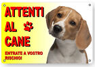 ATTENTI AL CANE CARTELLO TARGA BEAGLE