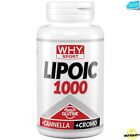 Why Sport Lipoic 1000 - 60 cpr Acido alfa lipoico con cannella e cromo