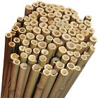 Canne di bambu - Misure varie , per piante, tutore orto, decorazione, bamboo