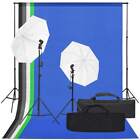 Kit per Studio Fotografico con Set di Luci e Fondale vidaXL