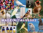1000 Anellini Anelli Plastica Diamantini, gould, canarini, Uccellini, Uccelli