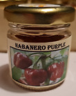 Habanero Purple Polvere peperoncino Piccante 10G