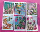 cigarette cards WILLS FLOWERING SHRUBS LARGE 6/30 LOT E