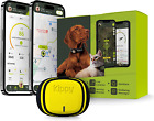 - GPS per Collare Cani E Gatti Evo - Tracker Salute E Attività - GPS Satellitare