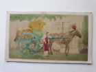 Carte De Visite Photo. Hand Painted Neopolitan Wine Seller s Horse & Cart.