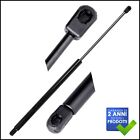 Pistone Ammortizzatore Cofano Motore Molla a Gas Jeep Grand Cherokee IV