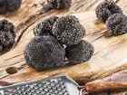 TARTUFO UNCINATO NERO FRESCO I Scelta AUTUNNALE UMBRIA UNCINATUM TARTUFI 100gr