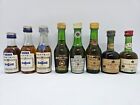 8 Miniature Cognac Martell, Camus, Courvoisier 4 cl. 40%