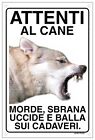 CANE LUPO CECOSLOVACCO mod 2 Attenti al cane morde sbrana uccide e balla 20X30