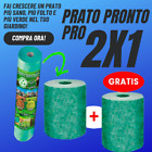 PRATO PRONTO 2X1 VERDE PERFETTO SEMINA TERRENO SEMI GIARDINO OFFERTA ROVINATO