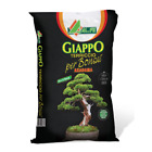 GIAPPO AKADAMA 3-6 TERRICCIO PER BONSAI 2,5 l