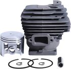 Kit CILINDRO E PISTONE MOTOSEGA 52MM per Stihl Ms461 1128 020 1250 11280201250