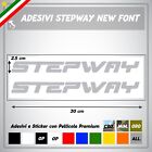 2 ADESIVI DACIA SANDERO STEPWAY Sportello Auto Decal Stickers Tuning Emblema