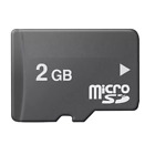 Teams 2GB Micro SD Card