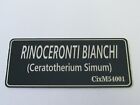 CIXMODELS TARGHETTA METALLO METAL PLATE RINOCERONTI RHINOCEROS BIANCHI CIXM54001