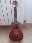 Ukulele elettrico