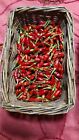 DIAVOLICCHIO CALABRESE 30 SEMI DI PEPERONCINO PICCANTE + SEMI OMAGGIO BIO SEEDS