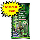 KB TERRICCIO PIANTE GRASSE 5 LT