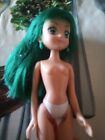 Mermaid Melody Doll Rina