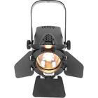 Chauvet EVETF20X Track Fresnel LED Warm White Spotlight for Display Exhibition