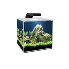 CIANO CUBE 10 LED ACQUARIO COMPLETO FILTRO E ILLUMINAZIONE 10 LITRI by ASKOLL