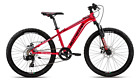 Mountain bike ragazzo/a BOTTECCHIA