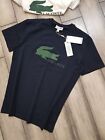 tshirt lacoste homme