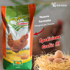 MANGIME COMPLETO PER GALLINE OVAIOLE 20 KG - GALTIERI